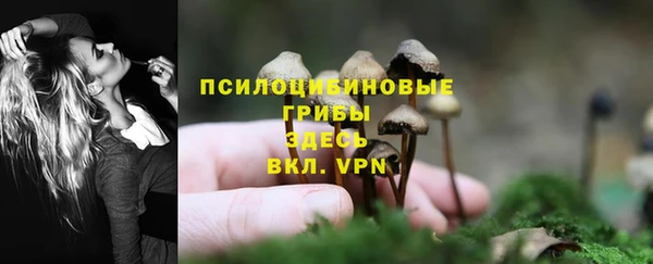 кокаин Алексеевка