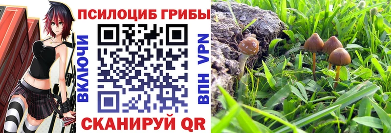 Галлюциногенные грибы прущие грибы  Оленегорск 